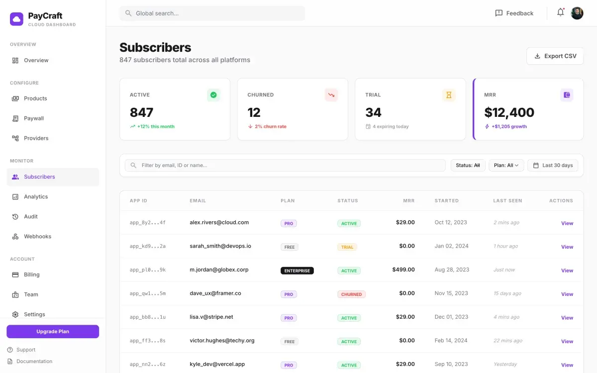 Subscribers table showing each customer’s plan, status and revenue