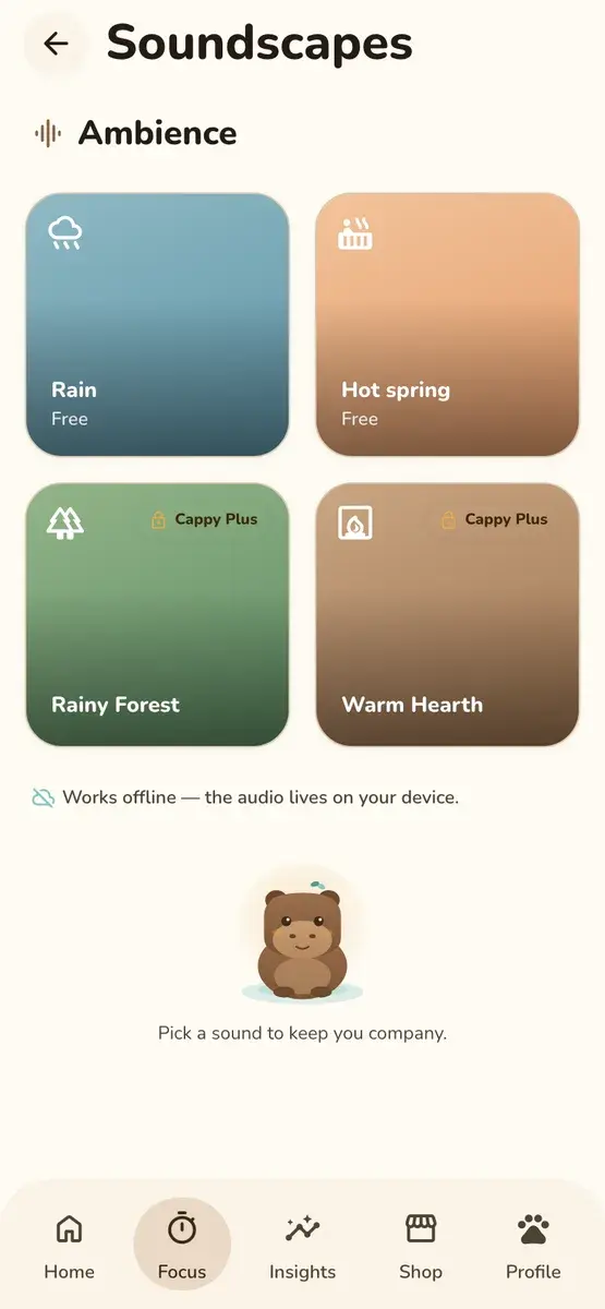 Soundscapes library of ambient sounds such as Rain and Hot spring, available offline